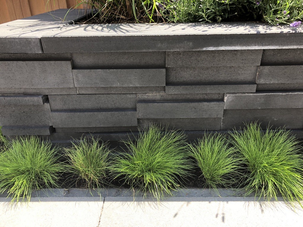 troosttuinprojecten35